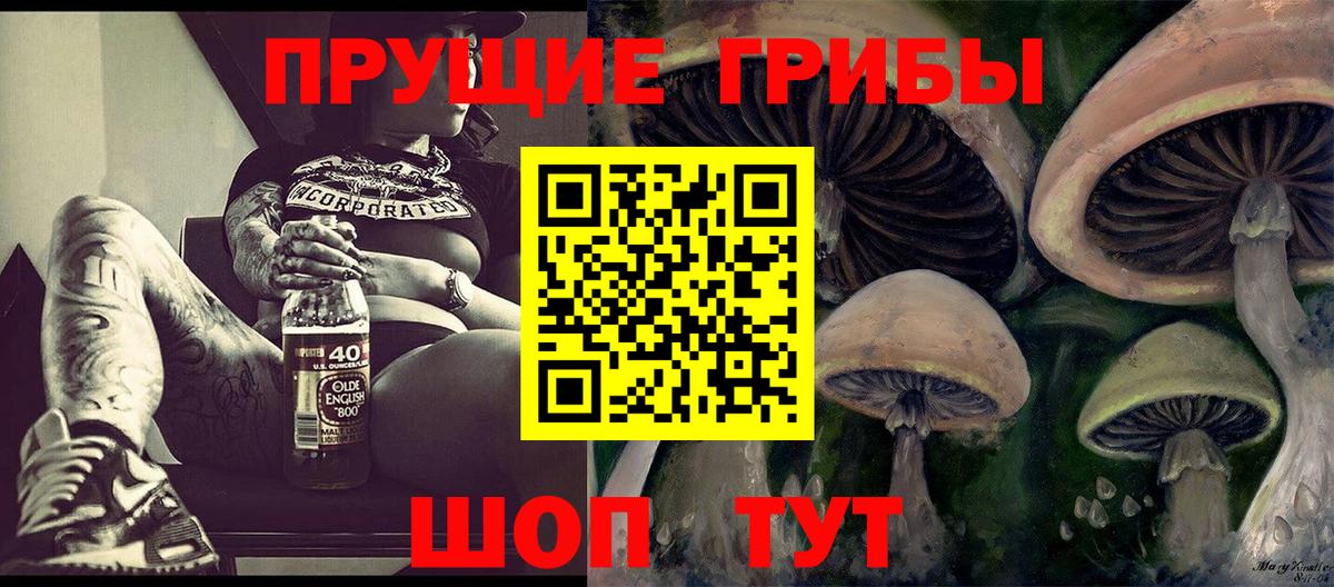 Псилоцибиновые грибы прущие грибы  Вход с VPN  Реж 